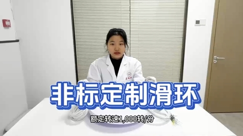 非标定制滑环